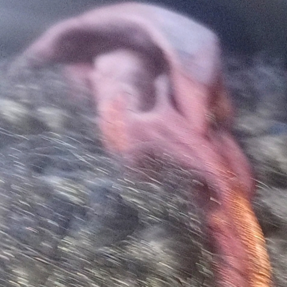 A brown scrunchie